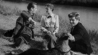 «Кайманы Пьяве (1951)» — обои к фильму #1