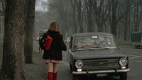 «Правдивая история о преступном промысле (1975)» — обои к фильму #3