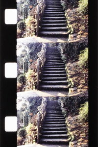 Постер фильма «Sacré-Coeur (1983)» — (3 из 4)
