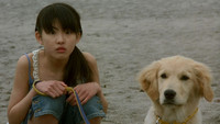 «10 обещаний моей собаке (2008)» — обои к фильму #2