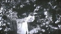 «Khi Vang Ba (1985)» — обои к фильму #1