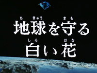 The White Flower That Protects Earth