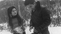 «Любовное послание (1959)» — обои к фильму #1