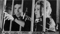 «Diogmos (1964)» — обои к фильму #1