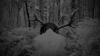 Обои к сериалу «Шершни (2021)» — (43 из 54)