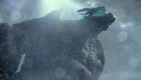 Pacific Rim