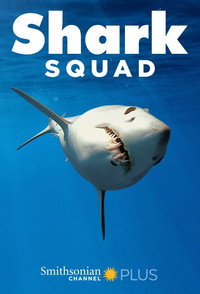 Постер сериала «Shark Squad (2017)» — (2 из 3)