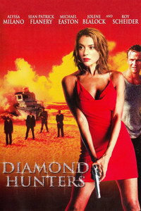 Постер сериала «Охотники за алмазами (2001)» — (5 из 11)