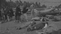 Обои к фильму «Чудо соли (1958)» — (12 из 12)