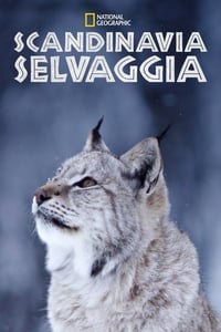 copertina serie tv Scandinavia+Selvaggia 2019