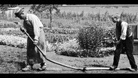 «Политый поливальщик (1895)» — обои к фильму #1