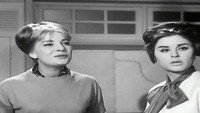 «Lel Regal Fakat (1965)» — обои к фильму #2