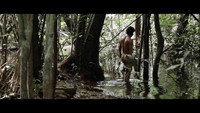 «Лес Джонатана (2012)» — обои к фильму #1