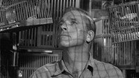 «Любитель птиц из Алькатраса (1962)» — обои к фильму #10