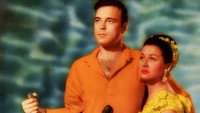 «Рискованное путешествие (1953)» — обои к фильму #1
