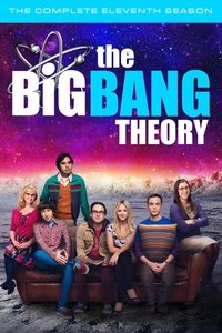 Cover of the Season 11 of The Big Bang Theory