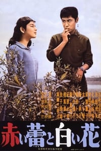 赤い蕾と白い花 (1962)