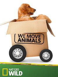 Poster de We Move Animals