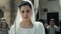 Folge 6