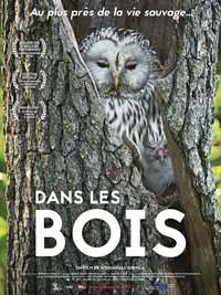 Poster de Dans les bois