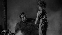 Le Fils de Frankenstein