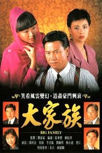 大家族 (1991)