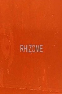 Rhizome