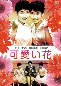 可愛い花 (1959)