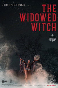 Постер фильма «Овдовевшая ведьма (2017)» — (3 из 6)