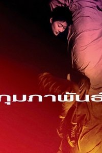 กุมภาพันธ์ (2003)