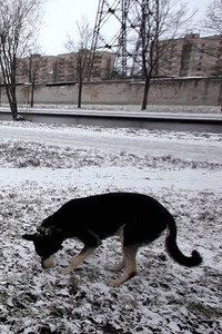 Постер к фильму Вместе (2010)