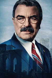 Постер сериала «Голубая кровь (2010 - 2024)» — (27 из 149)