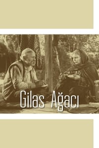 Gilas Ağacı (1972)