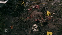 Greetings from a dead