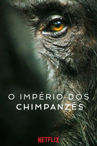O Império dos Chimpanzés S01E04