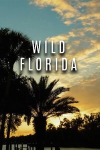 Watch Seasons of the Wild - Season 1 123Movies