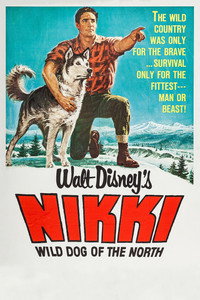 Постер фильма «Дикий пес Севера (1961)» — (4 из 19)
