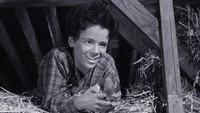 «Жестяная звезда (1957)» — обои к фильму #2