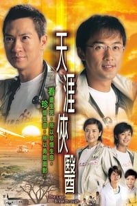 天涯俠醫 (2004)