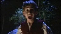 Die Geschichte von Jake und dem Leprechaun