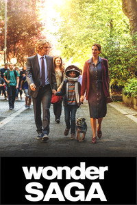 Wonder Collection