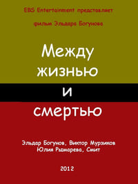 Между жизнью и смертью (2012)