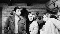«День, который не умрет (1974)» — обои к фильму #1