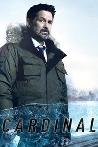 Постер сериала «Кардинал (2017 - 2020)» — (9 из 41)