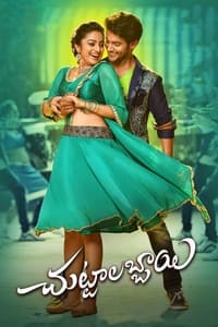 చుట్టాలబ్బాయి (2016)