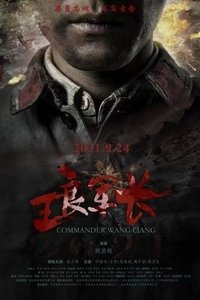 王良军长 (2021)