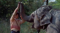 «Anoop and the Elephant (1972)» — обои к фильму #1
