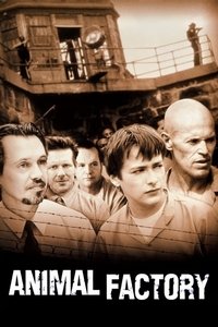 movie-images