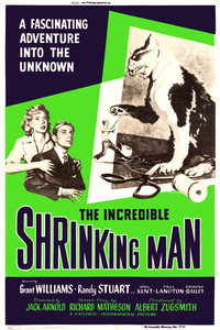 Постер фильма «Невероятно худеющий человек (1957)» — (10 из 46)