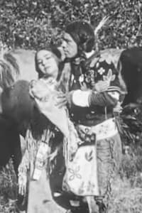 Poster de The Cheyenne's Bride